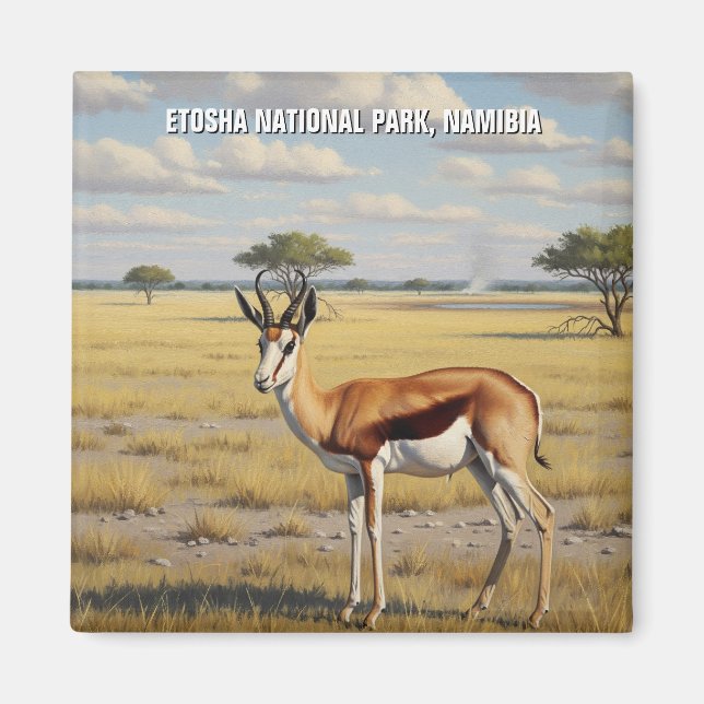 Imán Parque Nacional Springbok Etosha Namibia Viajes (Frente)