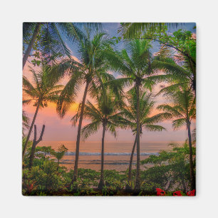 Imán Parque nacional tropical de la playa el  