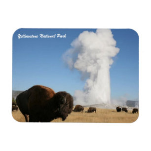 Imán Parque nacional Yellowstone