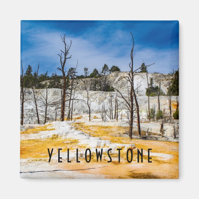 Imán Parque nacional Yellowstone (Frente)