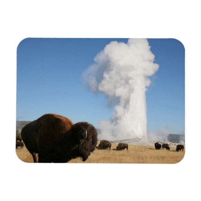 Imán Parque Nacional Yellowstone (Horizontal)