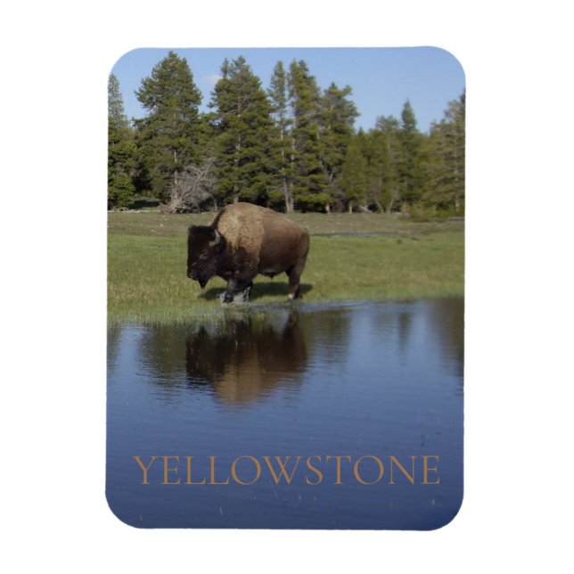 Imán Parque nacional Yellowstone Bison (Vertical)