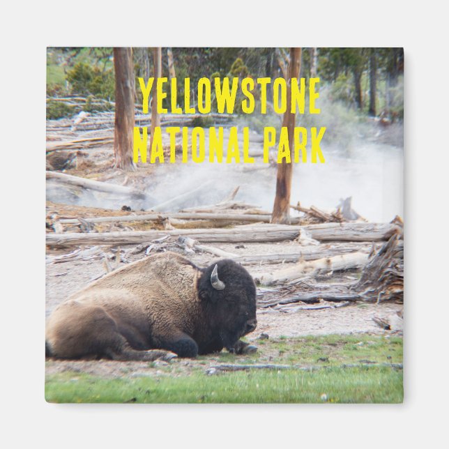 Imán Parque nacional Yellowstone Bison Magnet (Frente)