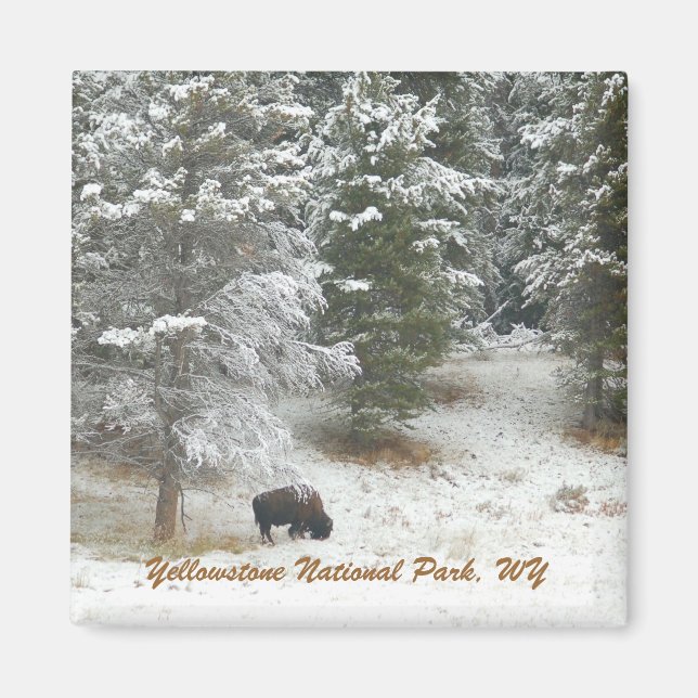 Imán Parque nacional Yellowstone, WY (Frente)