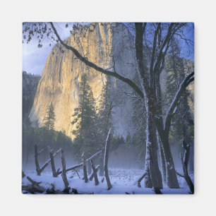 Imán PARQUE NACIONAL YOSEMITE, CALIFORNIA. EE. UU. Luz