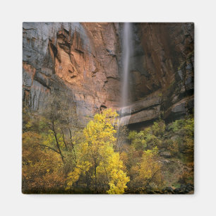 Imán Parque Nacional Zion, Utah. EE. UU. Efímero