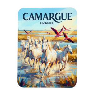 Imán Parque Natural Regional de Camargue Francia