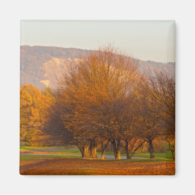 Imán Parque Rheinaue (Frente)