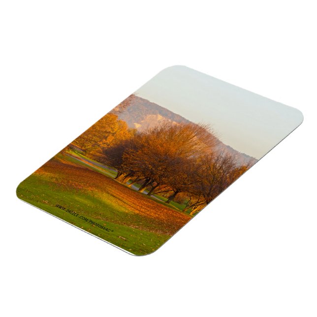 Imán Parque Rheinaue Premium Magnet (Lado Izquierdo)
