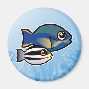 Imán Parrofish