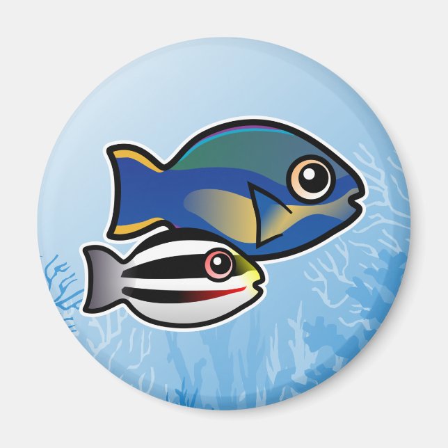 Imán Parrofish (Frente)