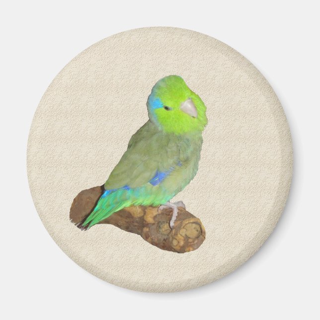 Imán Parroquia masculina verde (Frente)