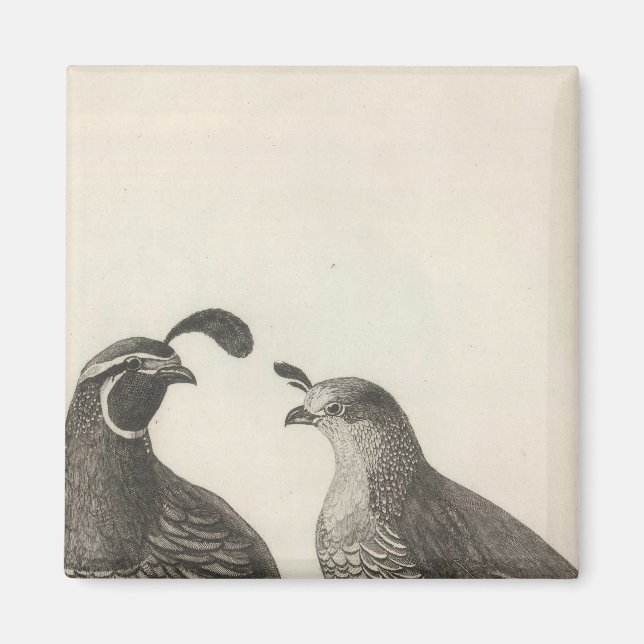 Imán Parroquia masculina y femenina de California (Frente)