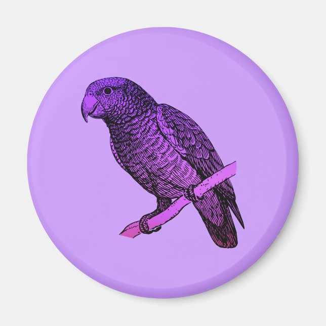 Imán Parroquia púrpura (Frente)