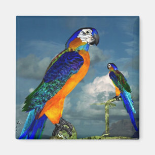IMÁN PARROS HIPEROS / ARA AZUL