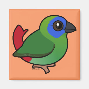 Imán Parrotfinch Azul-hecho frente