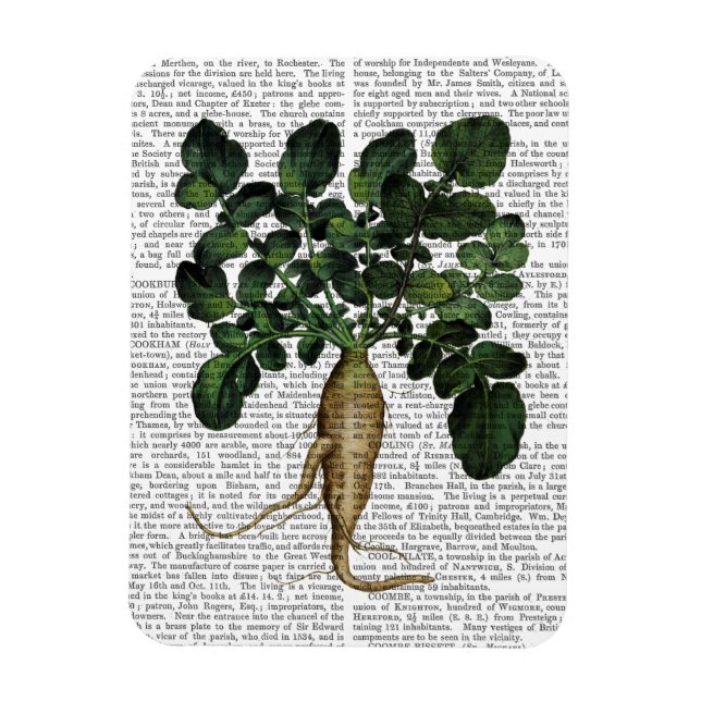 Imán Parsnip 1 (Vertical)