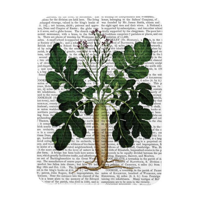 Imán Parsnip 3 (Vertical)
