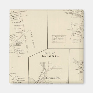 Imán Parte de Laconia