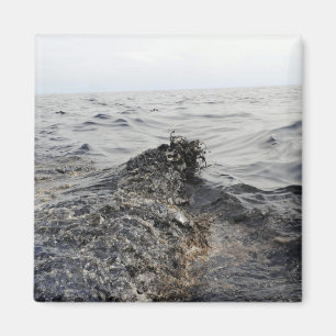 Imán Parte de una marea negra en el Golfo de México