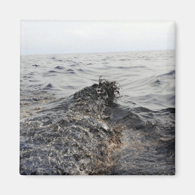 Imán Parte de una marea negra en el Golfo de México (Frente)