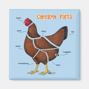 Imán Partes de Pollo