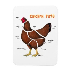 Imán Partes de Pollo