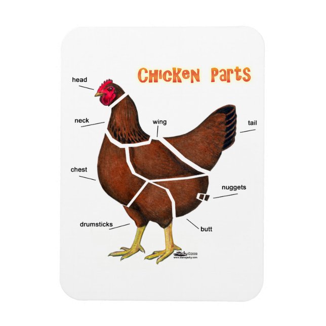 Imán Partes de Pollo (Vertical)