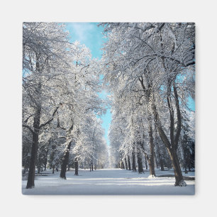 Imán paseo de invierno por el parque