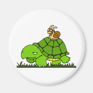 Imán Paseo de la tortuga