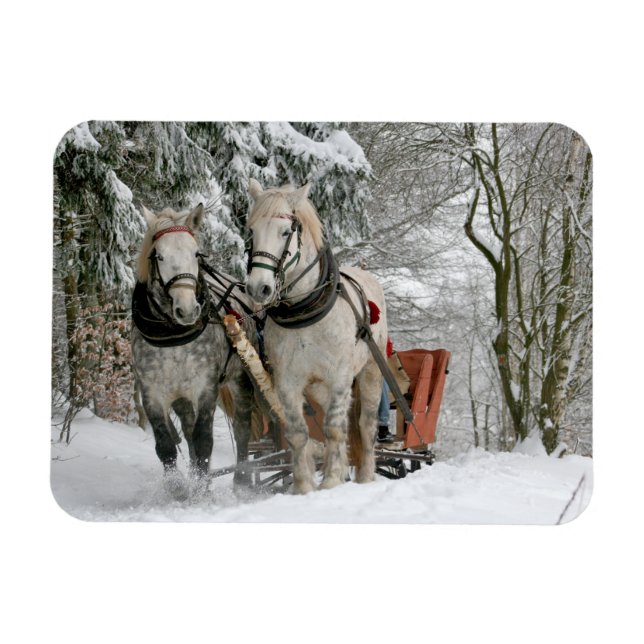 Imán Paseo en Sleigh en el bosque nevado (Horizontal)