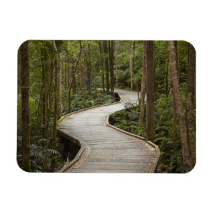Imán Paseo marítimo a Nelson Falls, Franklin - Gordon