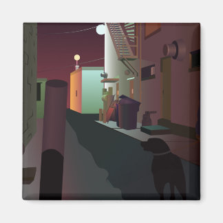 Imán Paseo nocturno