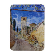 Paseo por el viñedo italiano en Lucca