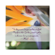 Pasión en el paraíso de la boda cristiana