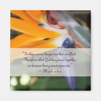 Imán Pasión en el paraíso de la boda cristiana