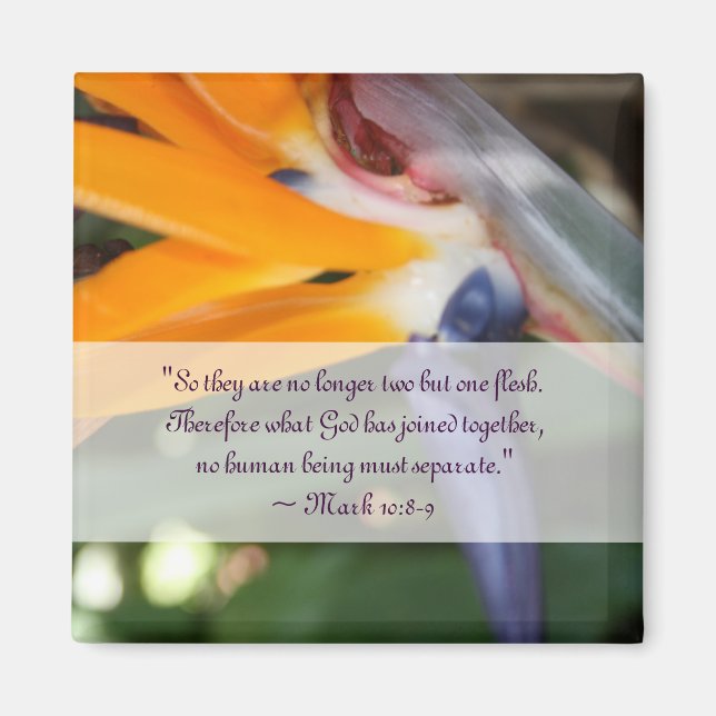 Imán Pasión en el paraíso de la boda cristiana (Frente)