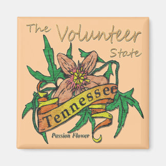 Imán Pasión Estatal Voluntaria de Tennessee 2