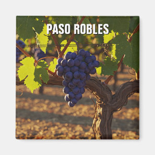 Imán Paso Robles Costa Central de California
