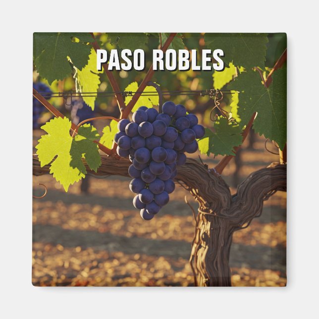 Imán Paso Robles Costa Central de California (Frente)