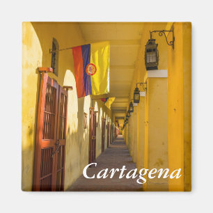 Imán Passageway and Flags