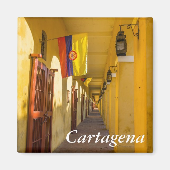 Imán Passageway and Flags (Frente)