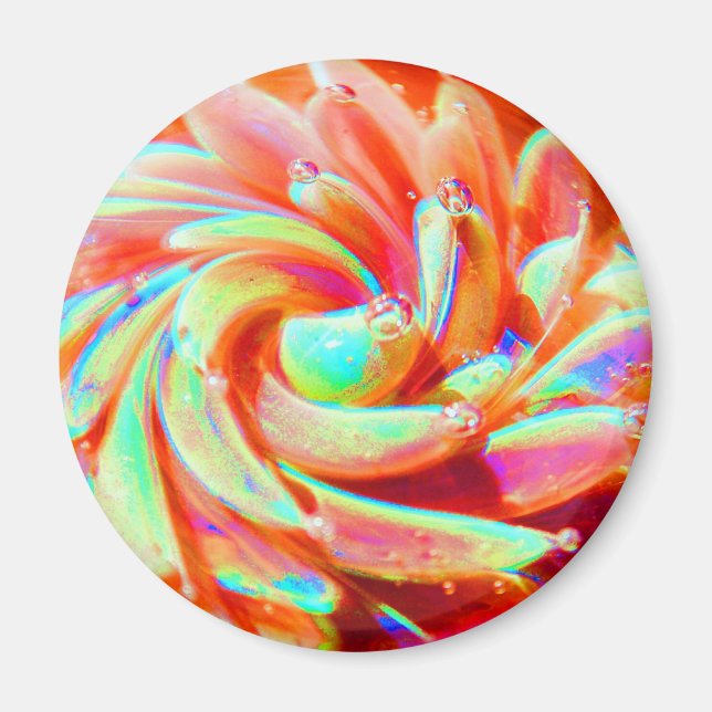 Imán Pastel de Burbuja Arcoiris Ocean Sea Anemone Art M (Frente)