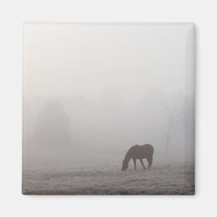 Imán Pasto de niebla