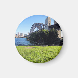 Imán pasto puente syd