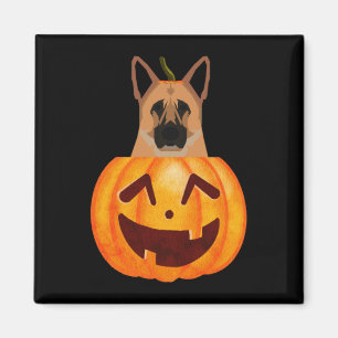 Imán Pastor alemán