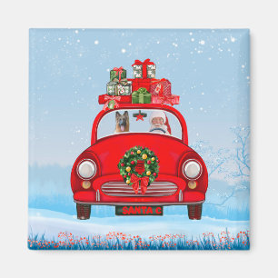 Imán Pastor Alemán En Coche Con Santa Claus