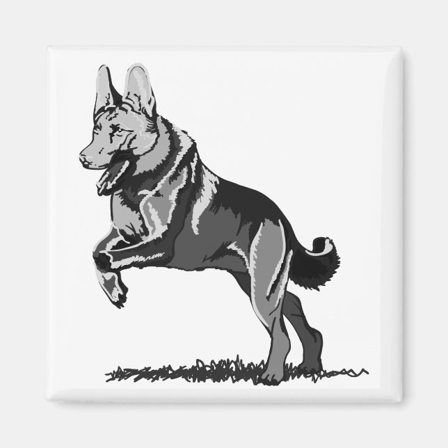 Imán Pastor alemán en primavera (Frente)