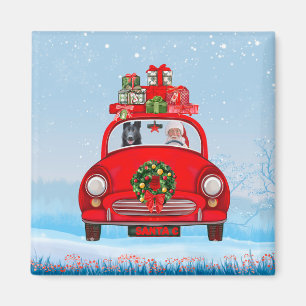 Imán Pastor Alemán Negro En Coche Con Santa Claus