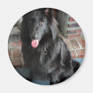 Imán Pastor belga conocido como "El Lobo Negro"